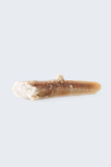 Witches Finger - Mazz Hanna